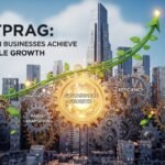 Insetprag: How Modern Businesses Achieve Sustainable Growth